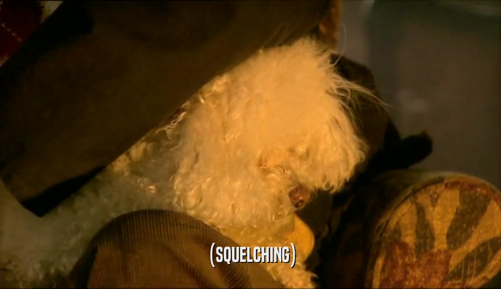 (SQUELCHING)  