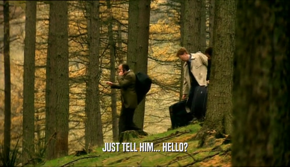 JUST TELL HIM... HELLO?  