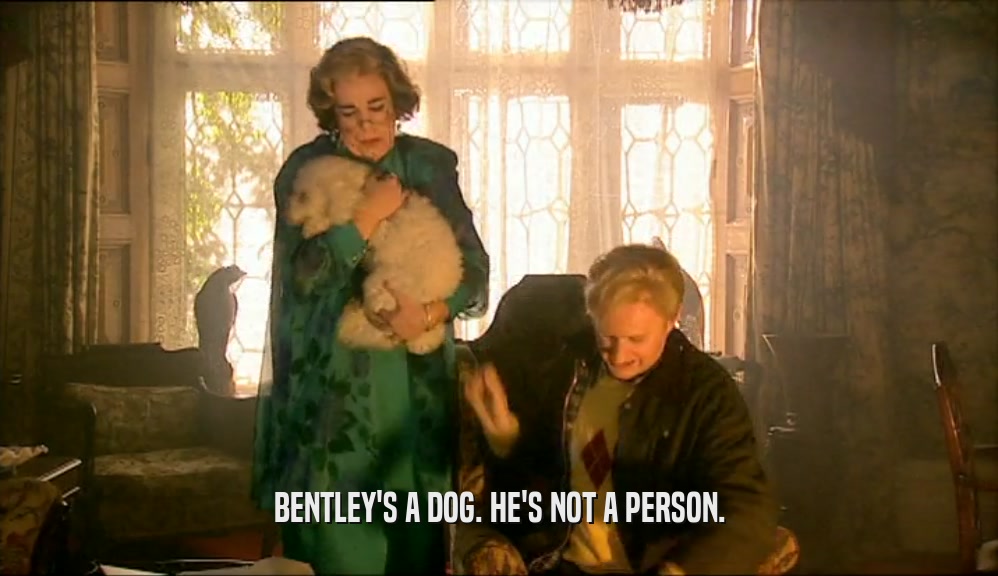 BENTLEY'S A DOG. HE'S NOT A PERSON.
  