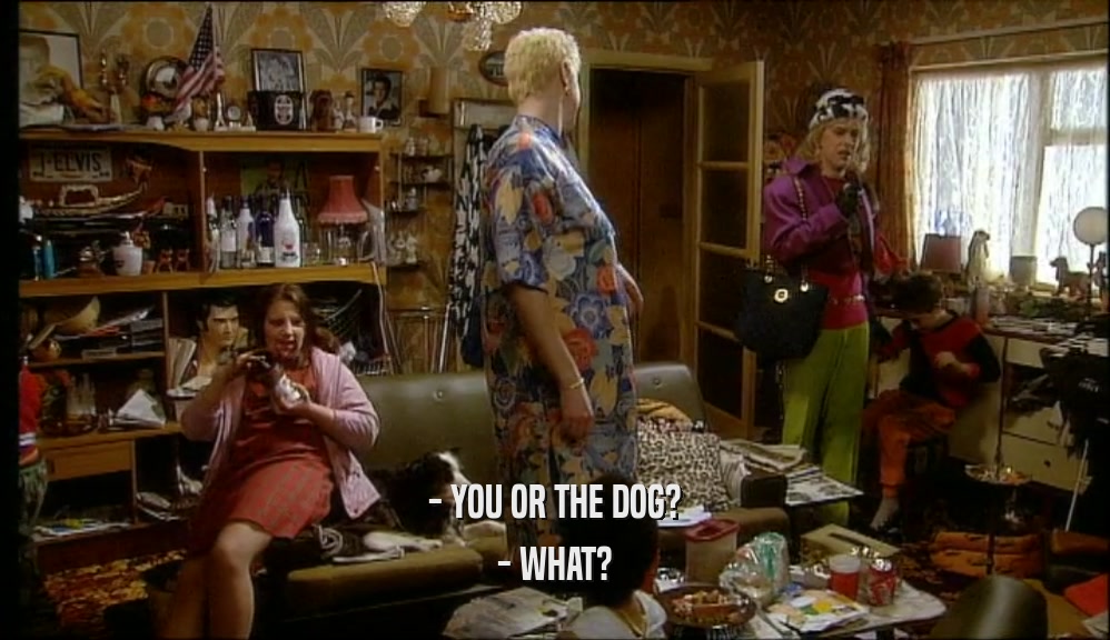 - YOU OR THE DOG? - WHAT? 