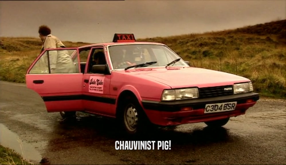 CHAUVINIST PIG!  