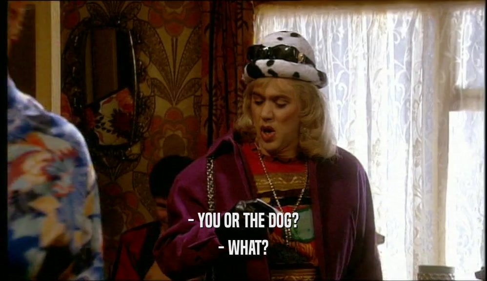 - YOU OR THE DOG?
 - WHAT?
 