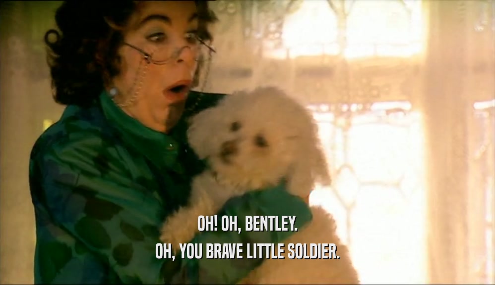 OH! OH, BENTLEY. OH, YOU BRAVE LITTLE SOLDIER. 