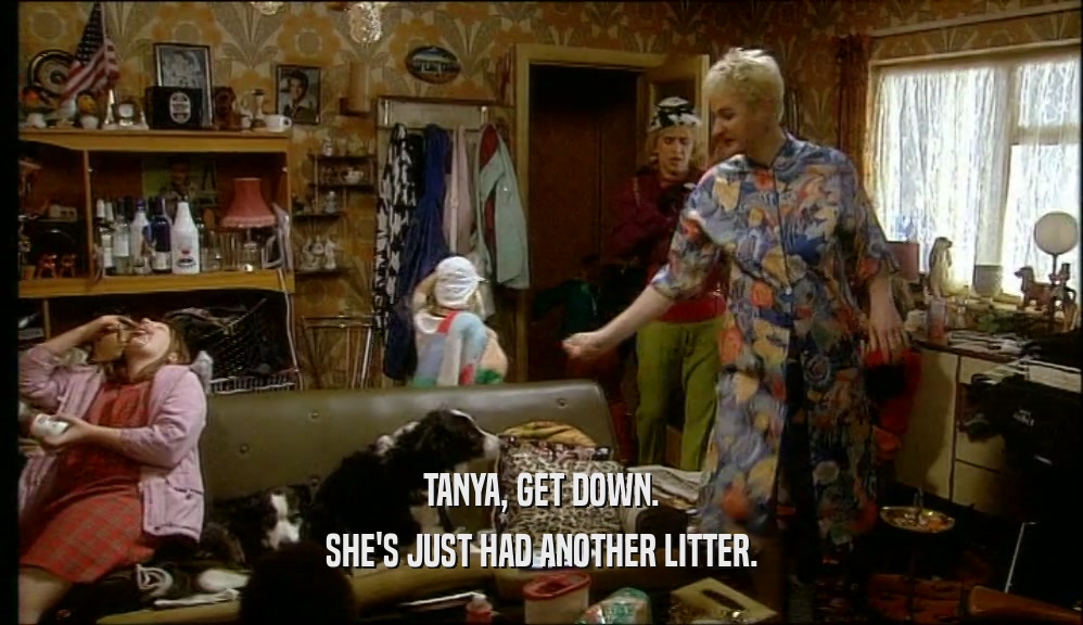 TANYA, GET DOWN.
 SHE'S JUST HAD ANOTHER LITTER.
 