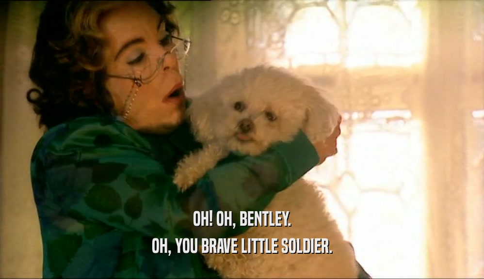 OH! OH, BENTLEY. OH, YOU BRAVE LITTLE SOLDIER. 
