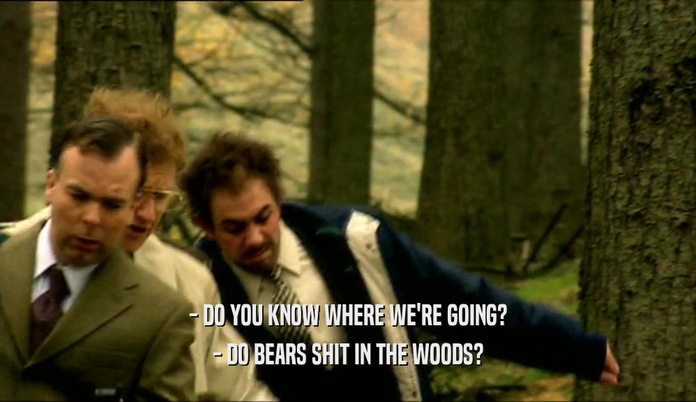 - DO YOU KNOW WHERE WE'RE GOING? - DO BEARS SHIT IN THE WOODS? 