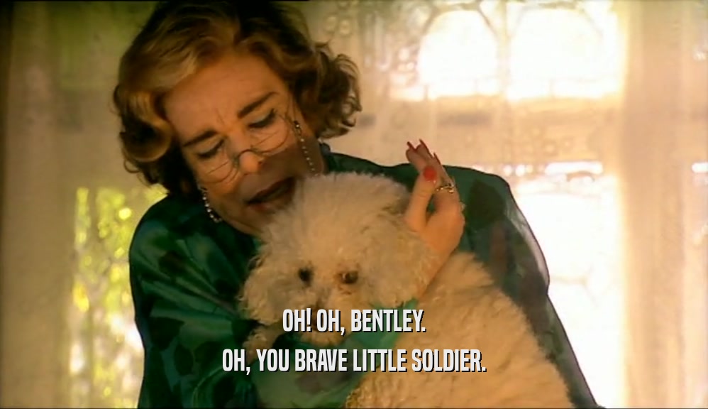 OH! OH, BENTLEY. OH, YOU BRAVE LITTLE SOLDIER. 