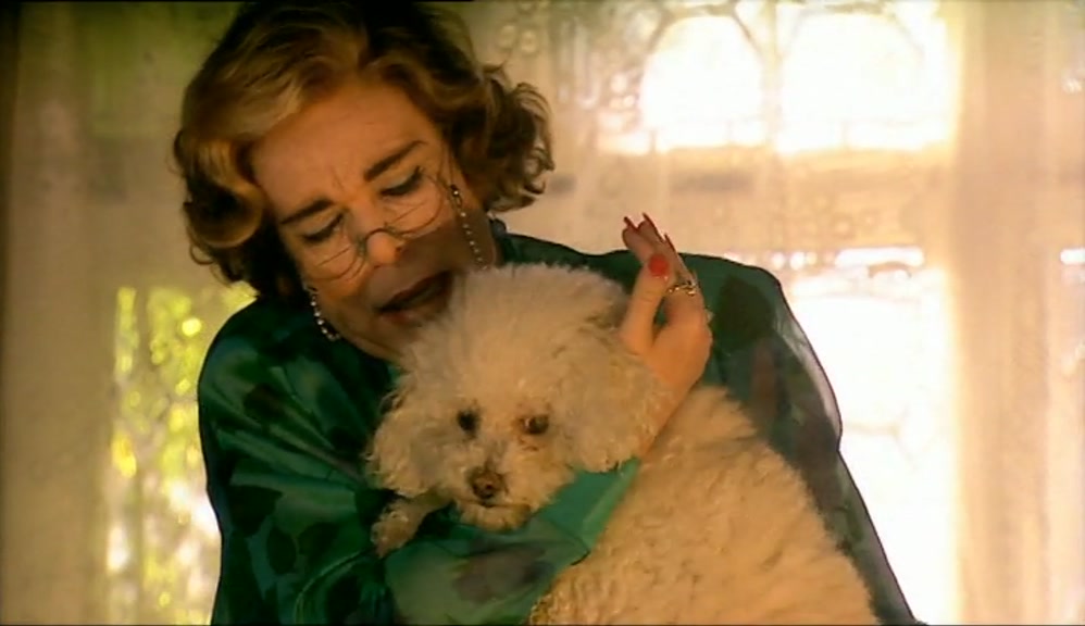 OH! OH, BENTLEY. OH, YOU BRAVE LITTLE SOLDIER. 