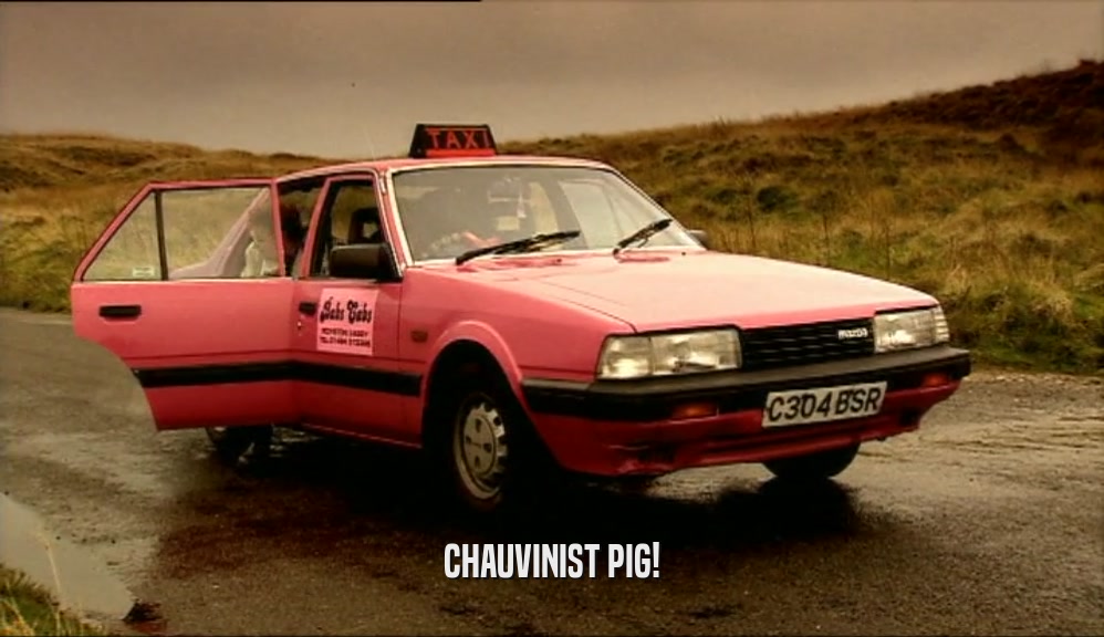 CHAUVINIST PIG!  