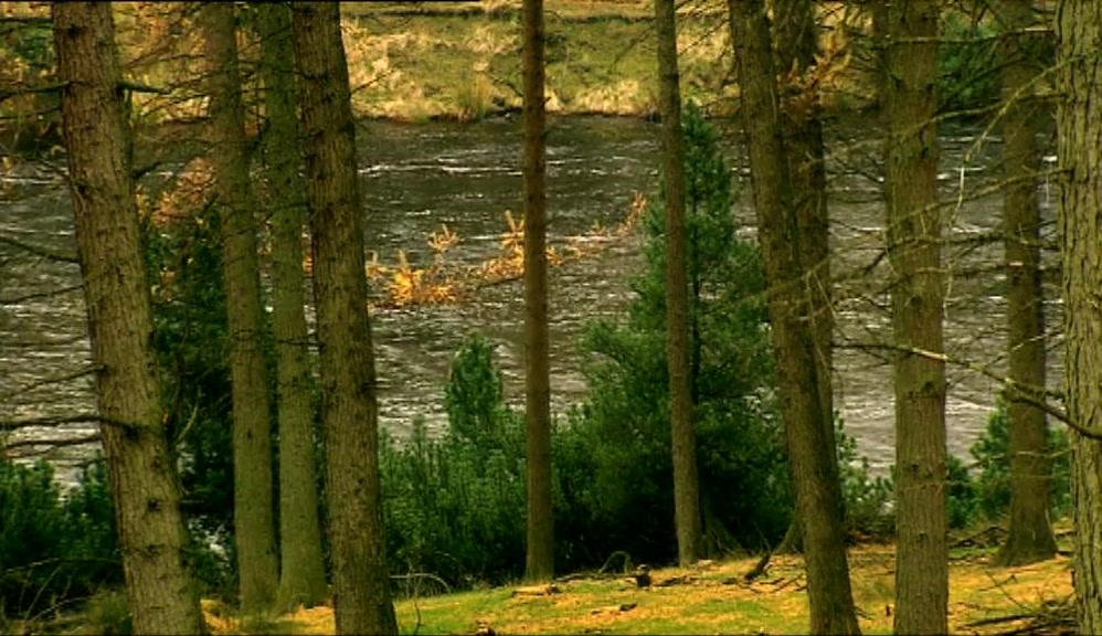 JUST ACROSS THAT RIVER.  