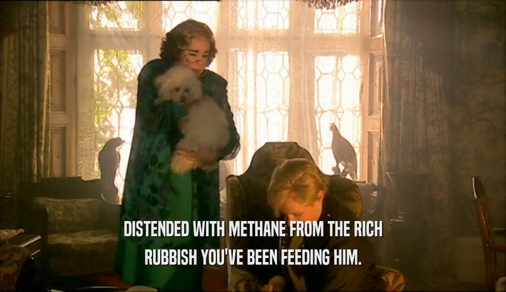 DISTENDED WITH METHANE FROM THE RICH RUBBISH YOU'VE BEEN FEEDING HIM. 