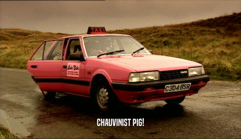 CHAUVINIST PIG!  