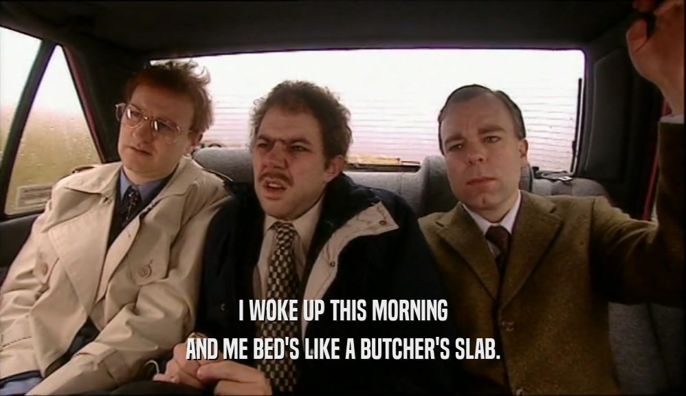 I WOKE UP THIS MORNING AND ME BED'S LIKE A BUTCHER'S SLAB. 