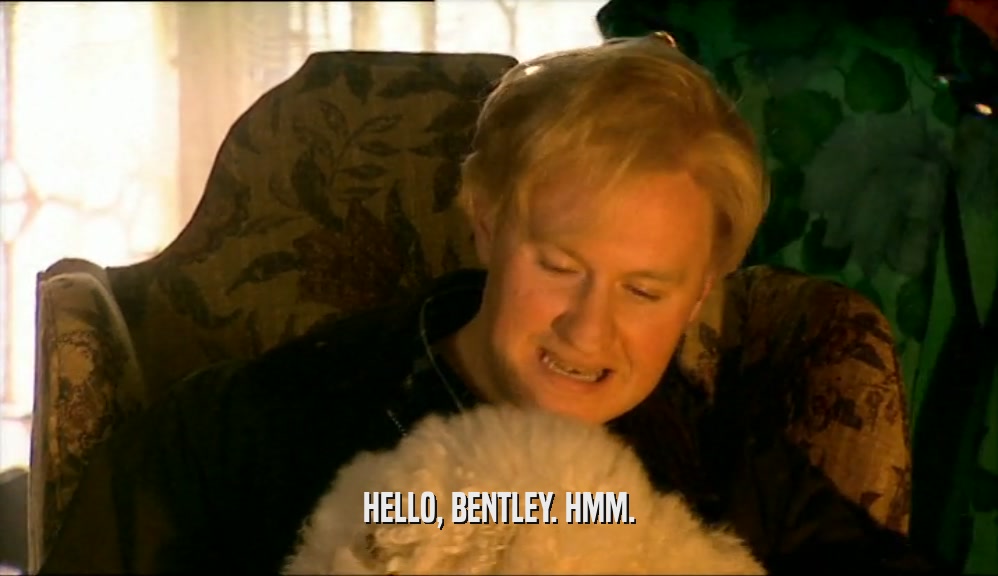 HELLO, BENTLEY. HMM.
  