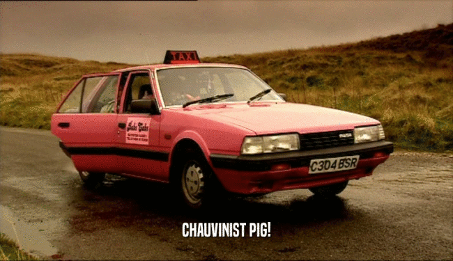 CHAUVINIST PIG!  