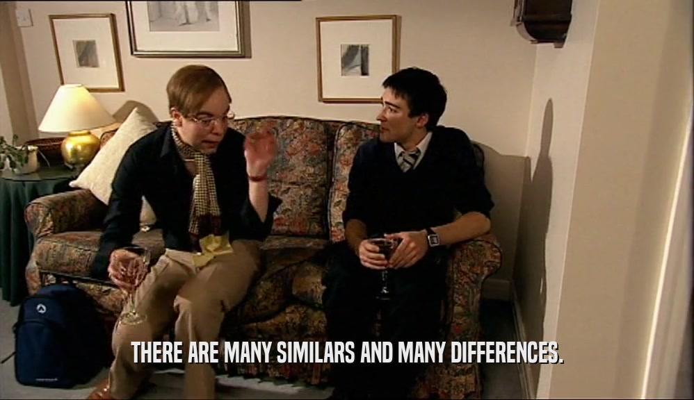 THERE ARE MANY SIMILARS AND MANY DIFFERENCES.  