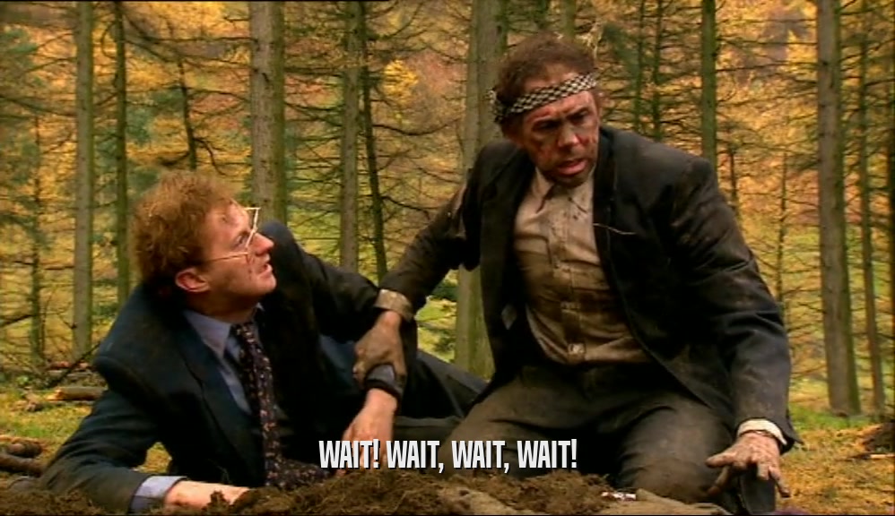 WAIT! WAIT, WAIT, WAIT!  