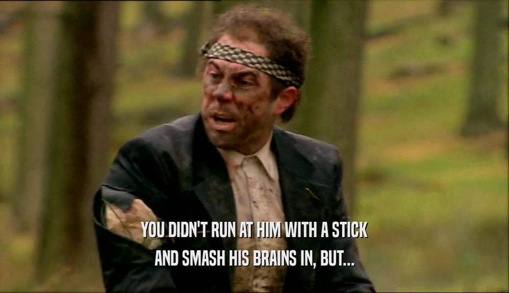 YOU DIDN'T RUN AT HIM WITH A STICK
 AND SMASH HIS BRAINS IN, BUT...
 