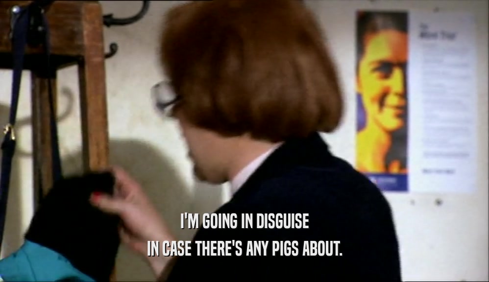 I'M GOING IN DISGUISE IN CASE THERE'S ANY PIGS ABOUT. 