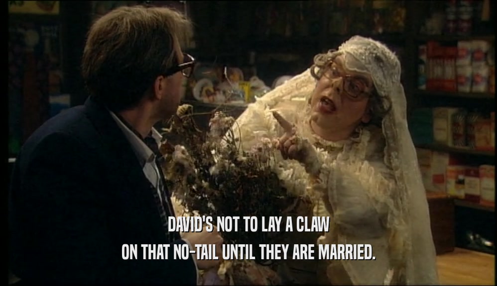 DAVID'S NOT TO LAY A CLAW ON THAT NO-TAIL UNTIL THEY ARE MARRIED. 