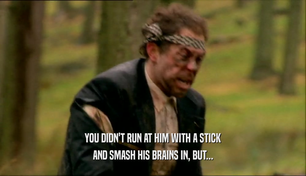 YOU DIDN'T RUN AT HIM WITH A STICK
 AND SMASH HIS BRAINS IN, BUT...
 