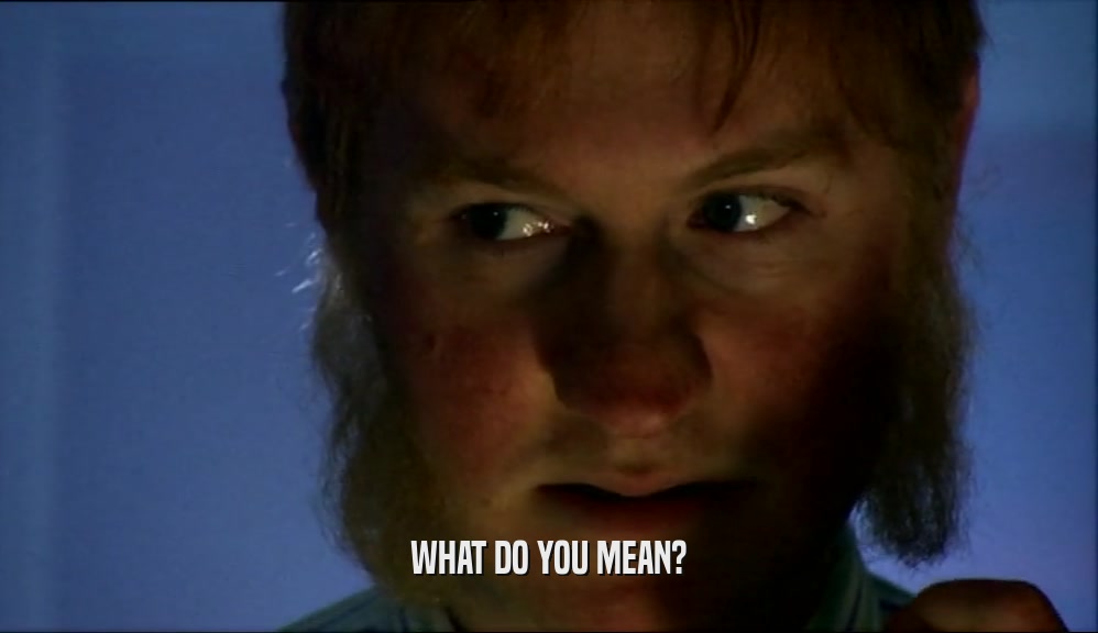 WHAT DO YOU MEAN?  