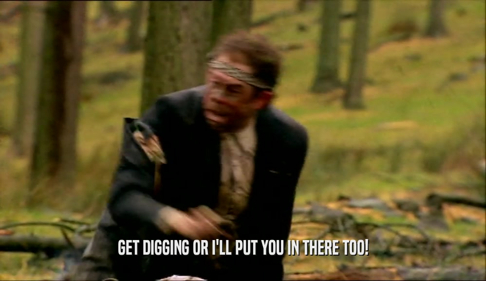 GET DIGGING OR I'LL PUT YOU IN THERE TOO!  