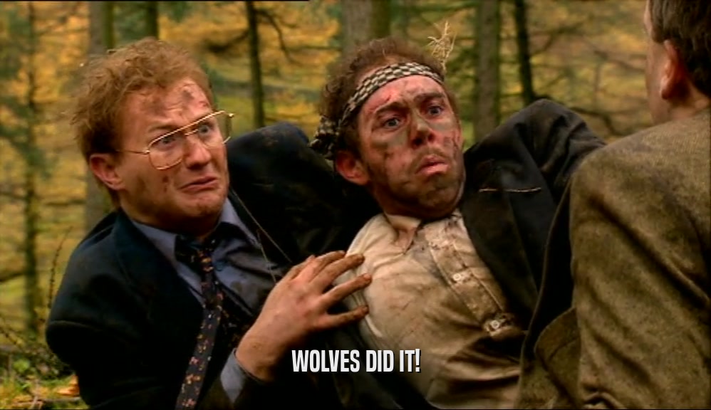 WOLVES DID IT!  