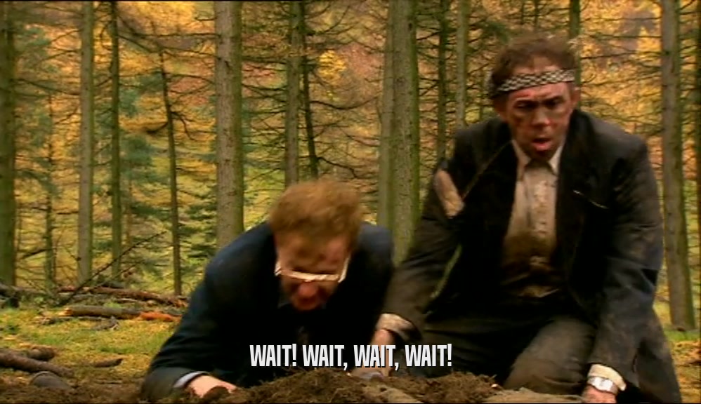 WAIT! WAIT, WAIT, WAIT!  
