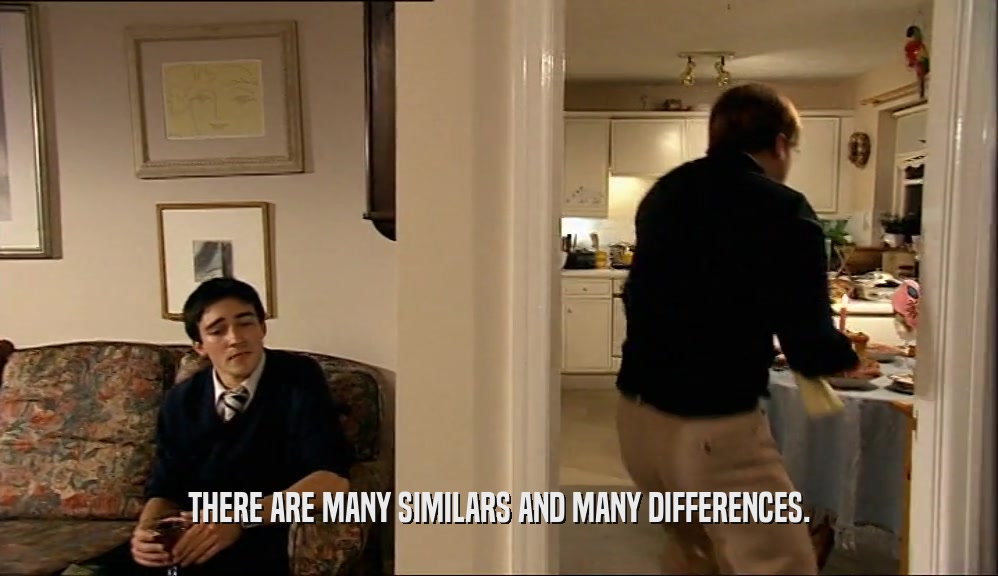 THERE ARE MANY SIMILARS AND MANY DIFFERENCES.  