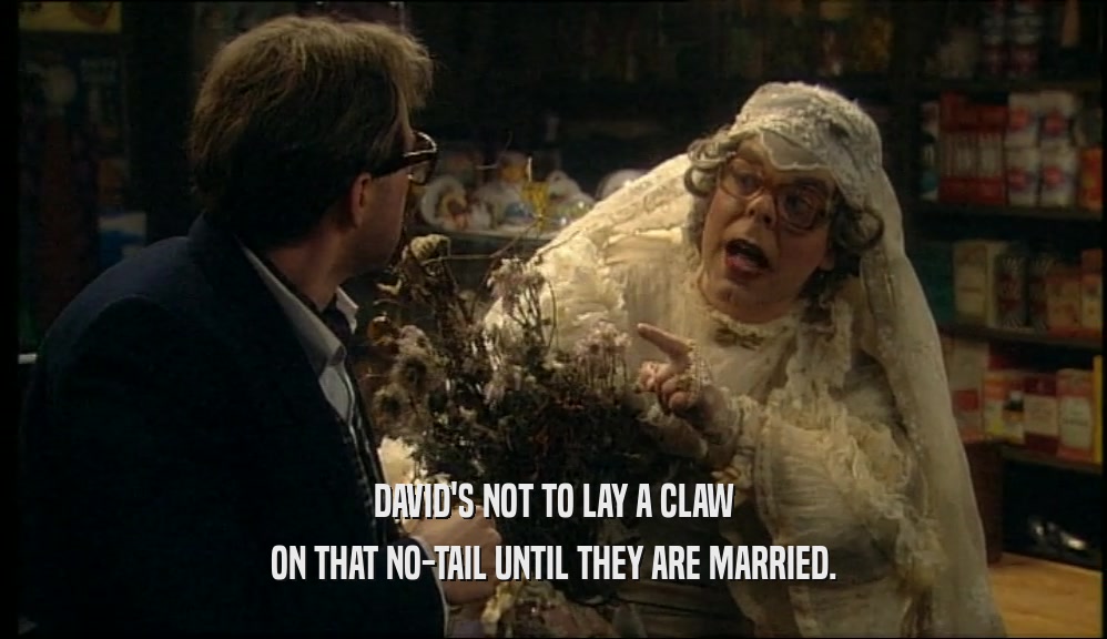 DAVID'S NOT TO LAY A CLAW ON THAT NO-TAIL UNTIL THEY ARE MARRIED. 