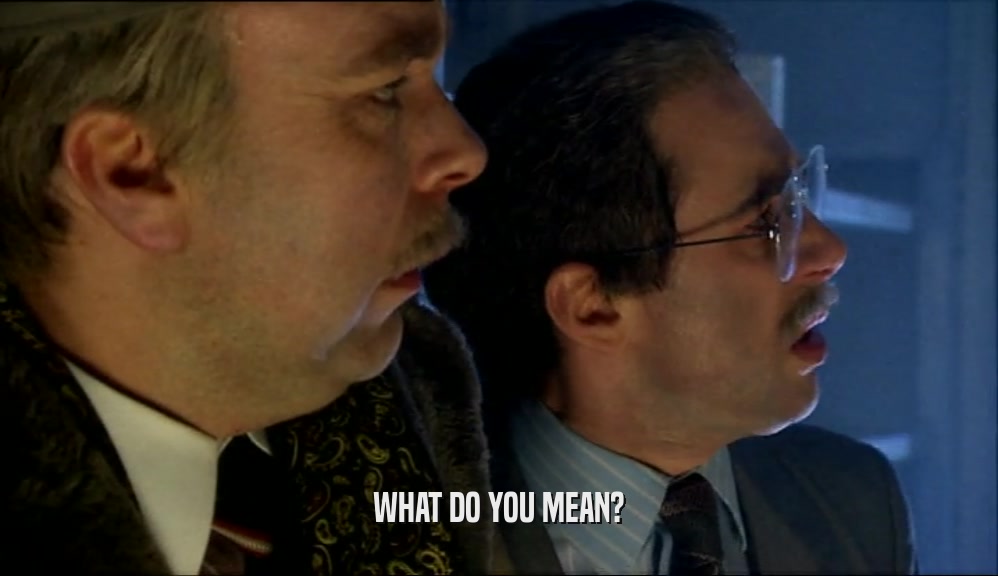 WHAT DO YOU MEAN?  