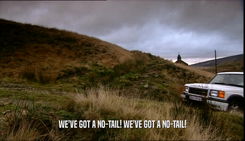 WE'VE GOT A NO-TAIL! WE'VE GOT A NO-TAIL!  