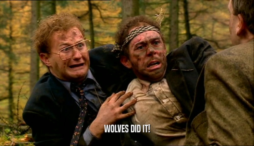 WOLVES DID IT!  