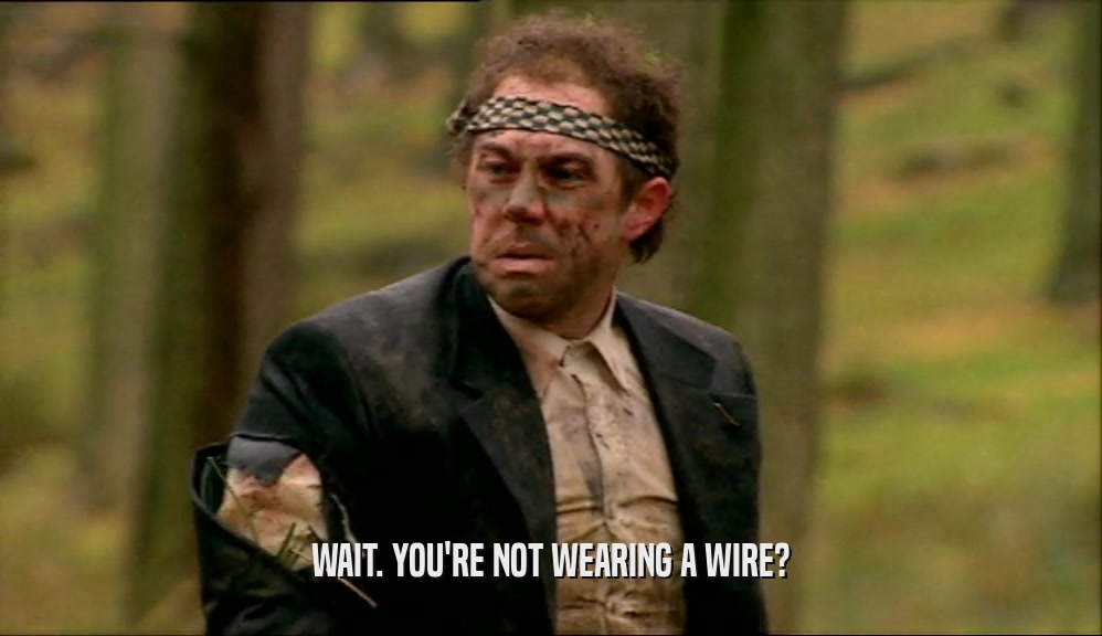 WAIT. YOU'RE NOT WEARING A WIRE?
  
