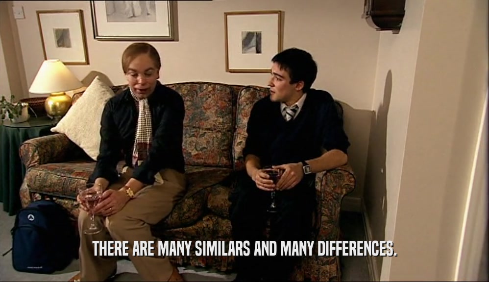 THERE ARE MANY SIMILARS AND MANY DIFFERENCES.  
