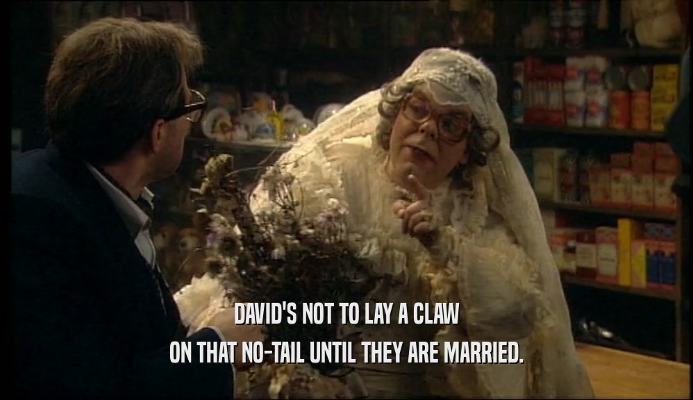 DAVID'S NOT TO LAY A CLAW ON THAT NO-TAIL UNTIL THEY ARE MARRIED. 