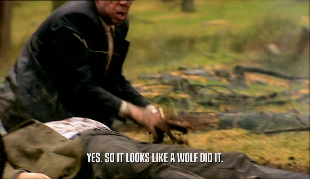 YES. SO IT LOOKS LIKE A WOLF DID IT.
  
