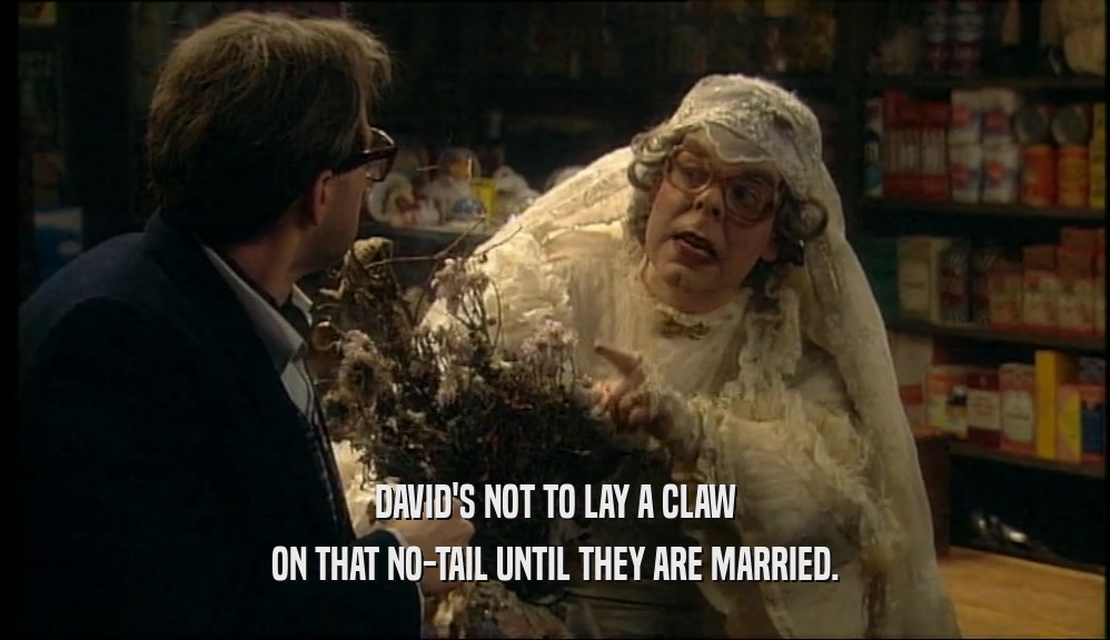 DAVID'S NOT TO LAY A CLAW ON THAT NO-TAIL UNTIL THEY ARE MARRIED. 