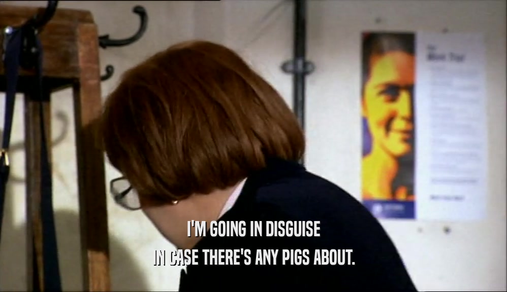I'M GOING IN DISGUISE IN CASE THERE'S ANY PIGS ABOUT. 