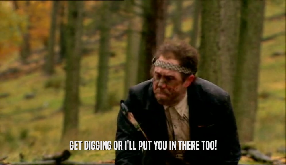 GET DIGGING OR I'LL PUT YOU IN THERE TOO!  