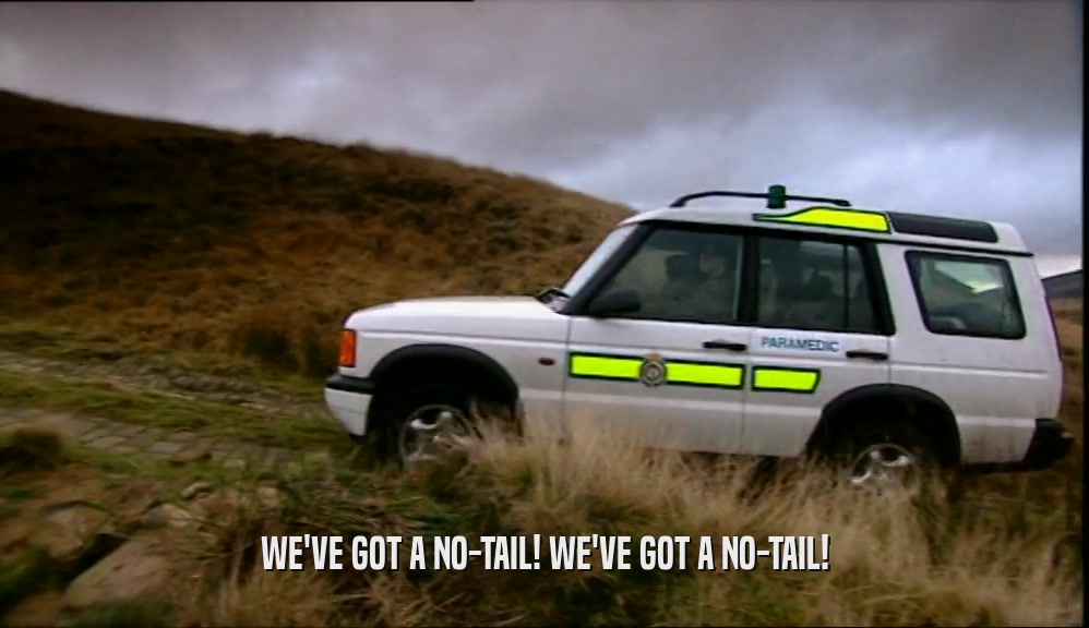 WE'VE GOT A NO-TAIL! WE'VE GOT A NO-TAIL!  