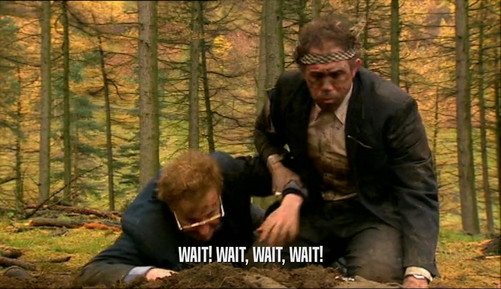 WAIT! WAIT, WAIT, WAIT!  