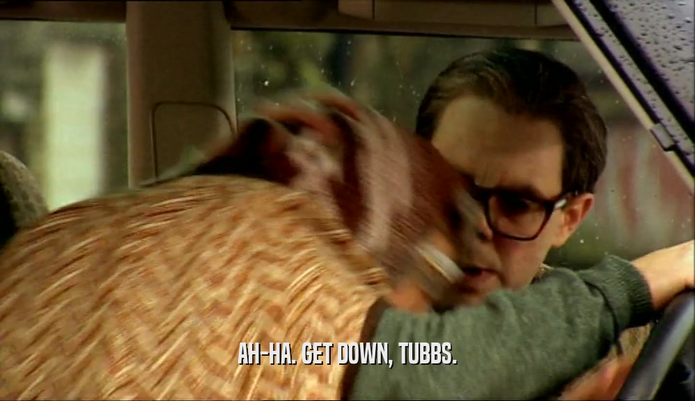 AH-HA. GET DOWN, TUBBS.  