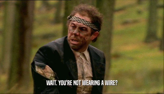WAIT. YOU'RE NOT WEARING A WIRE?
  