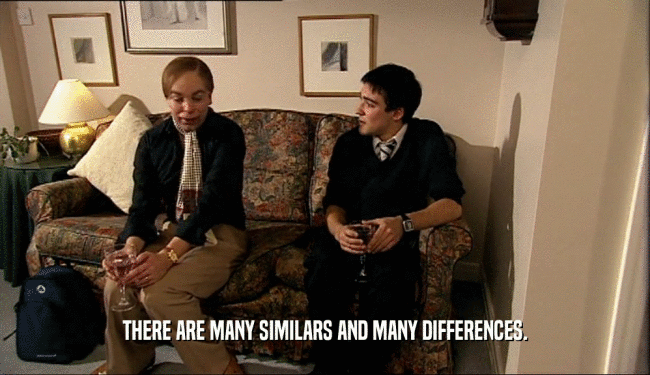 THERE ARE MANY SIMILARS AND MANY DIFFERENCES.  