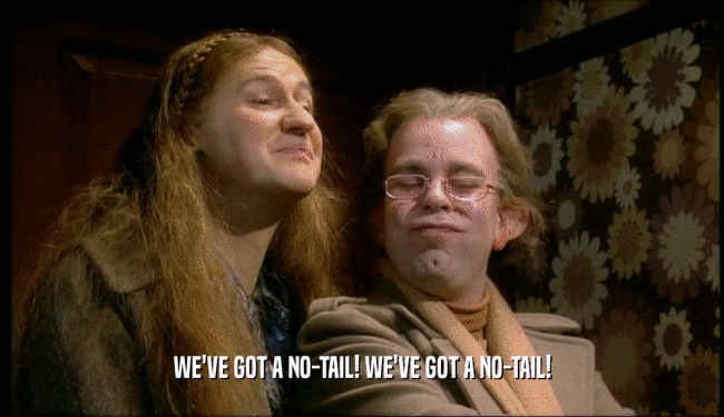 WE'VE GOT A NO-TAIL! WE'VE GOT A NO-TAIL!  