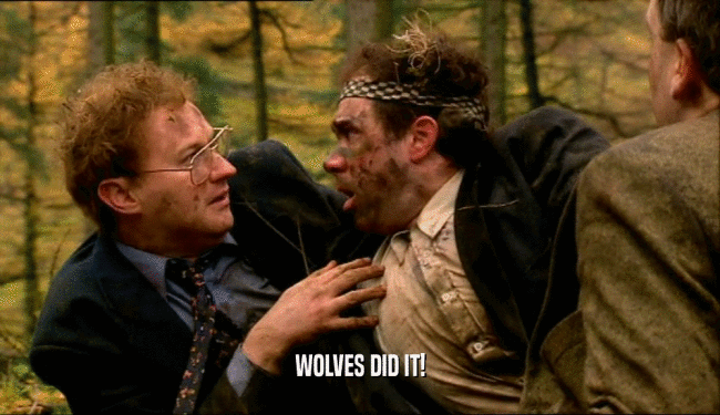 WOLVES DID IT!
  