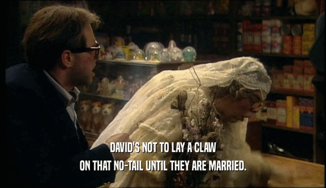 DAVID'S NOT TO LAY A CLAW ON THAT NO-TAIL UNTIL THEY ARE MARRIED. 