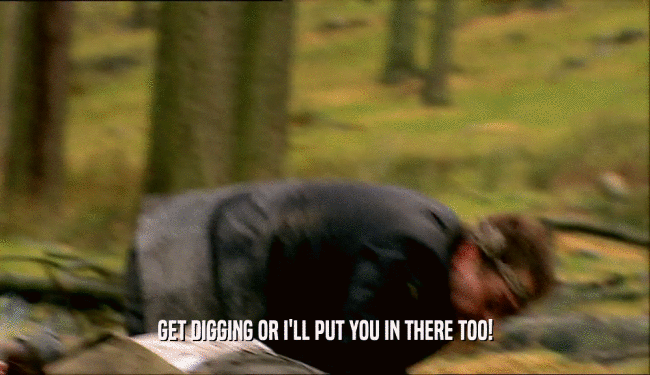 GET DIGGING OR I'LL PUT YOU IN THERE TOO!  